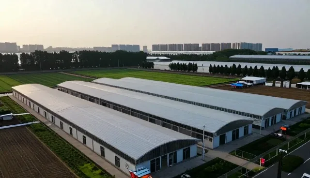 如何在完善网络环境下优化数码产品使用体验